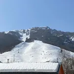 Nonni Ciupei N4 *