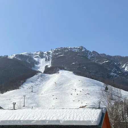 Nonni Ciupei N4 *