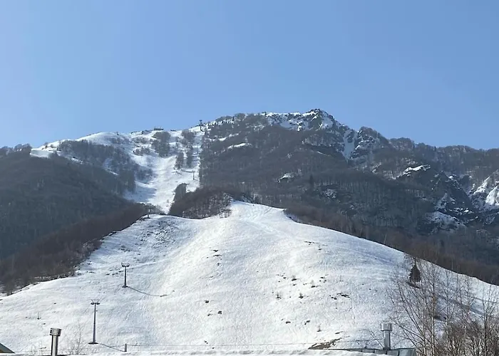Nonni Ciupei N4 *
