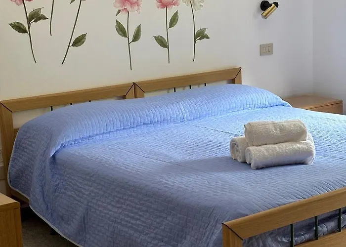 Nonni Ciupei N4 *