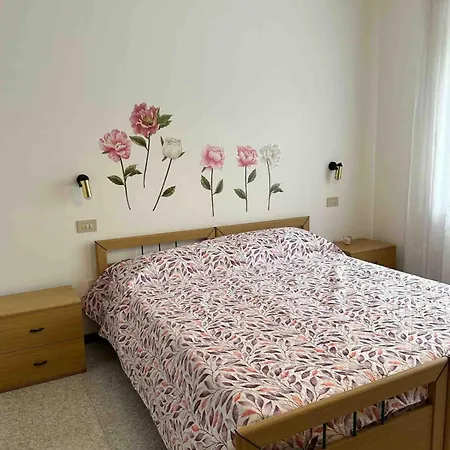 Nonni Ciupei N4